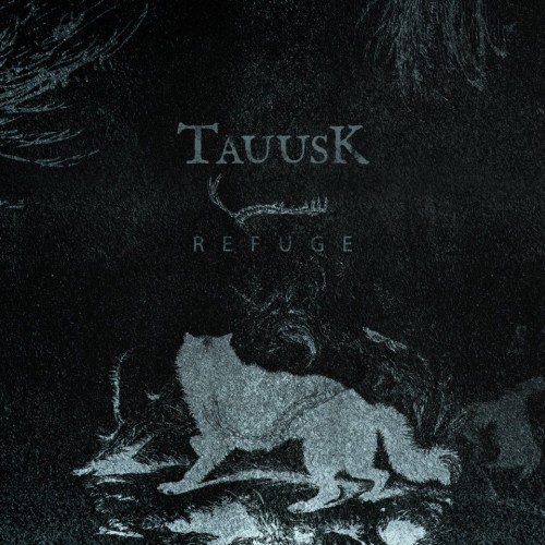 tauusk - refuge album cover