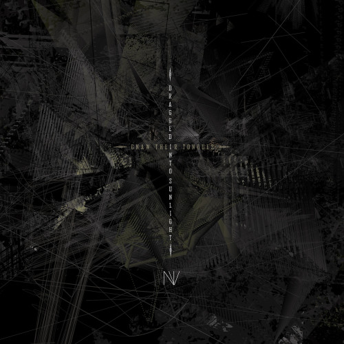 dragged into sunglight and gnaw their tongues - nv album cover