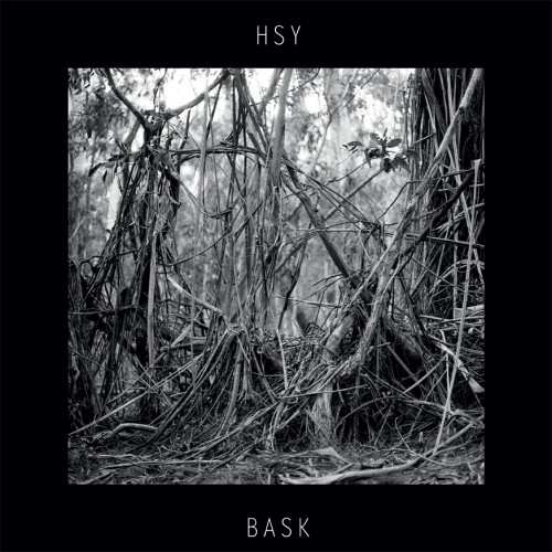 hsy - bask album cover